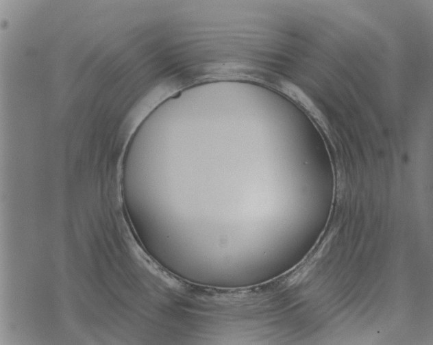 X0000073521386200608211754