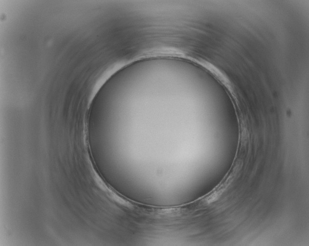 X0000073521390200608211754