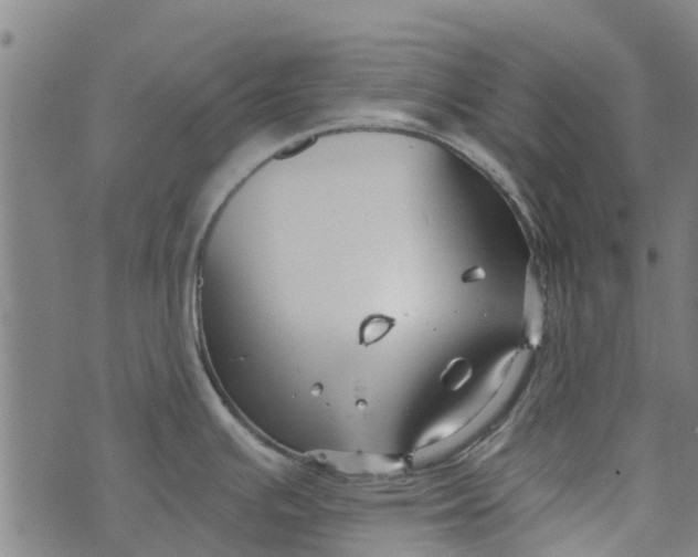 X0000073521391200608211754