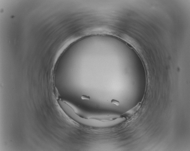 X0000073521392200608211754