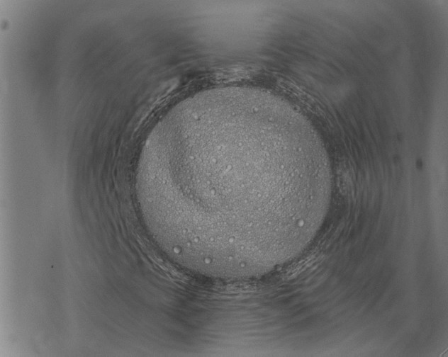 X0000073521393200608211753