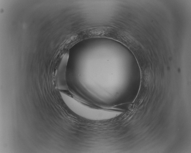 X0000073521394200608211753