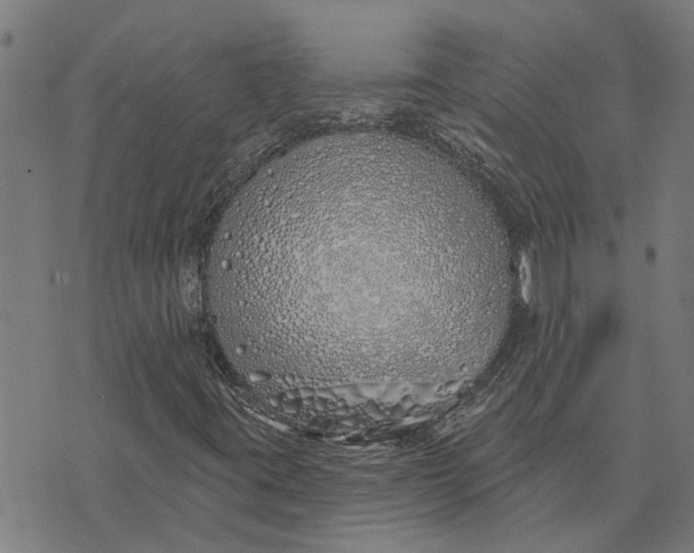 X0000073521395200608211753