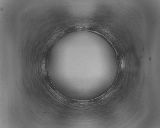 X0000073521396200608211753