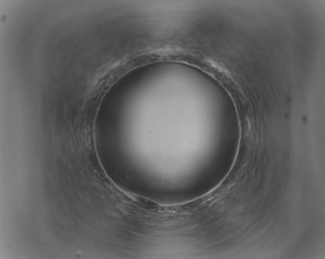 X0000073521398200608211753