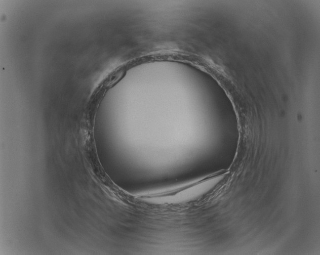 X0000073521400200608211753