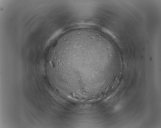 X0000073521403200608211753