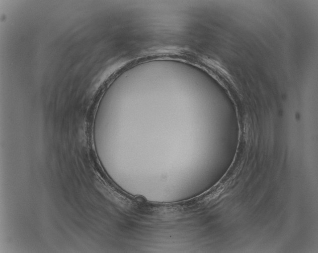 X0000073521404200608211753