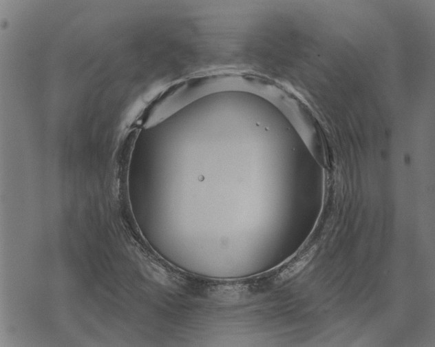 X0000073521406200608211753