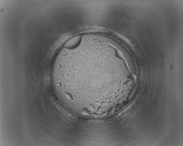 X0000073521407200608211753