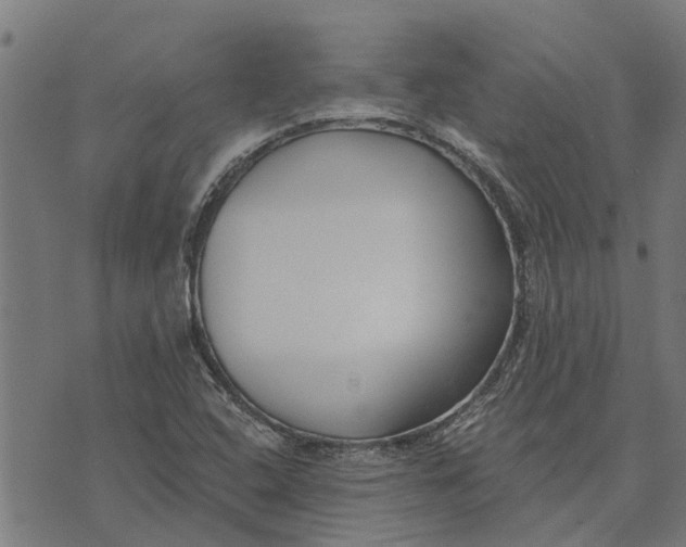 X0000073521408200608211753