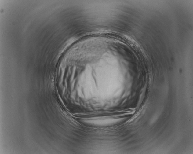 X0000073521409200608211753