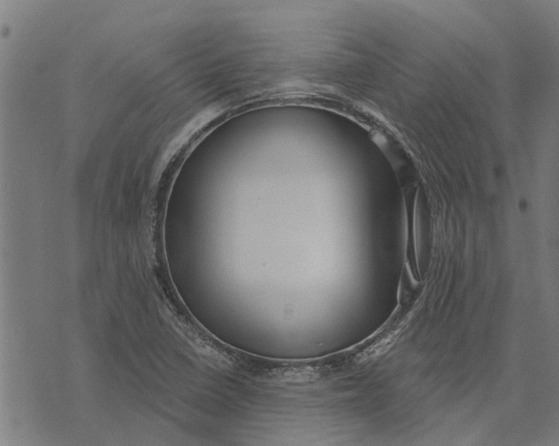 X0000073521410200608211753