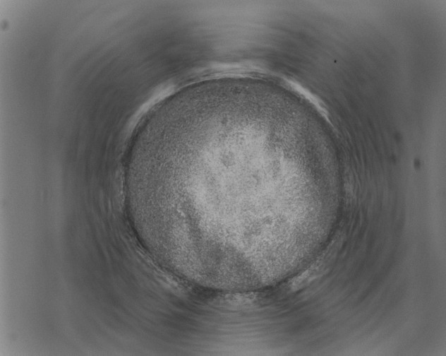 X0000073521411200608211753