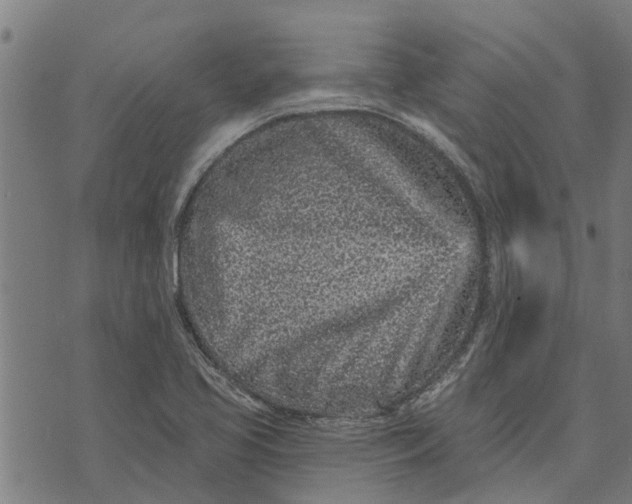 X0000073521413200608211753