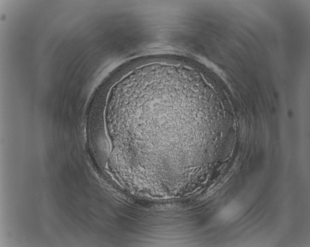 X0000073521415200608211753