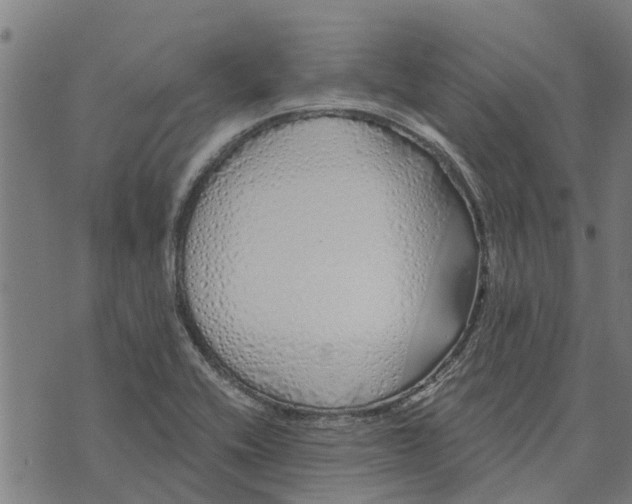 X0000073521416200608211753