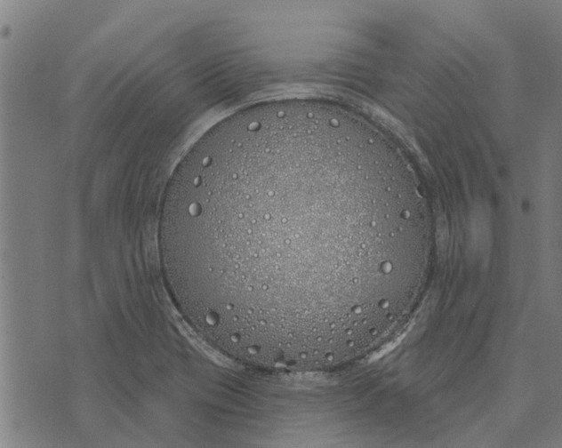 X0000073521417200608211753