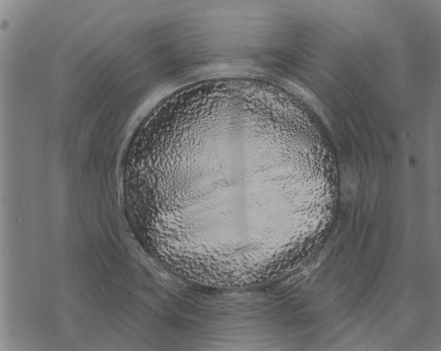 X0000073521419200608211753