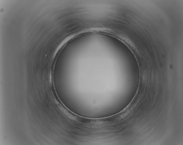 X0000073521420200608211753