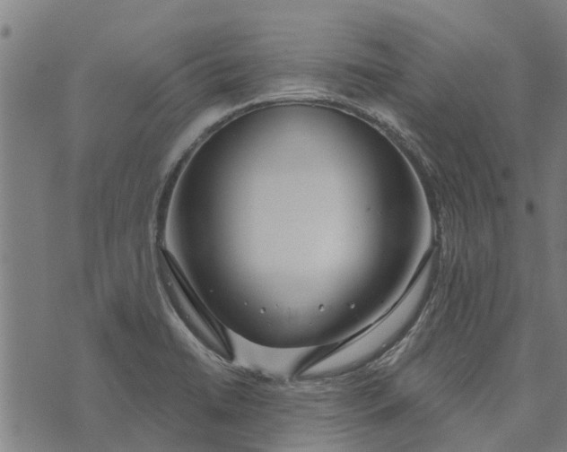 X0000073521422200608211753