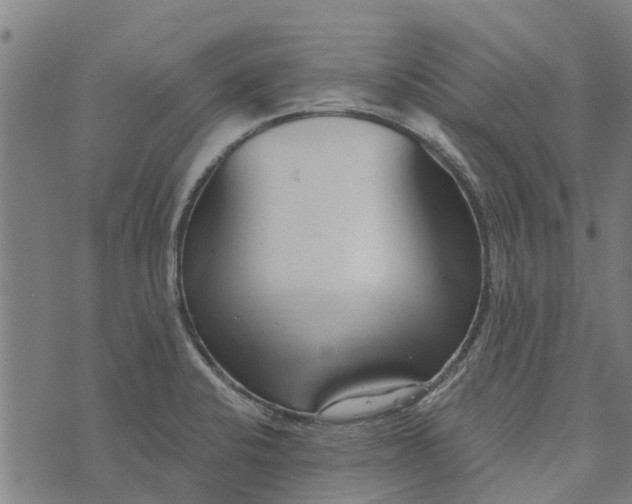 X0000073521424200608211753