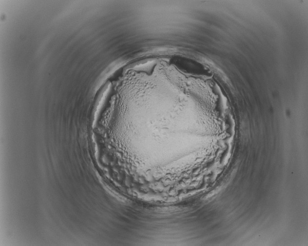 X0000073521425200608211753