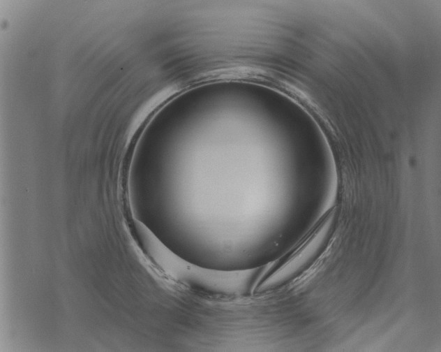 X0000073521426200608211753