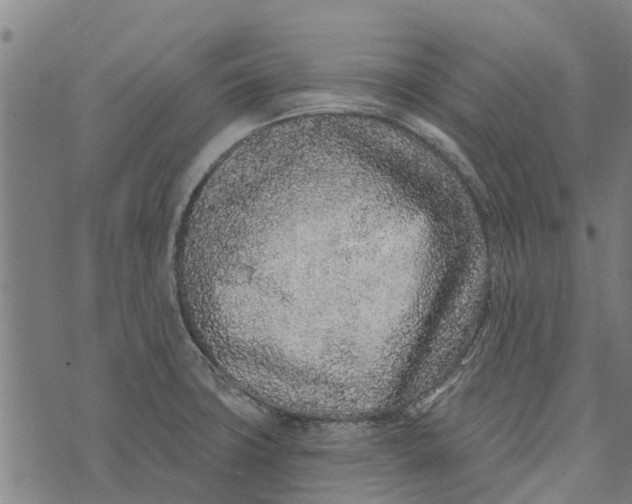 X0000073521427200608211753