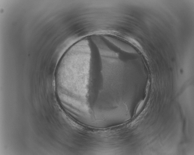 X0000073521428200608211753