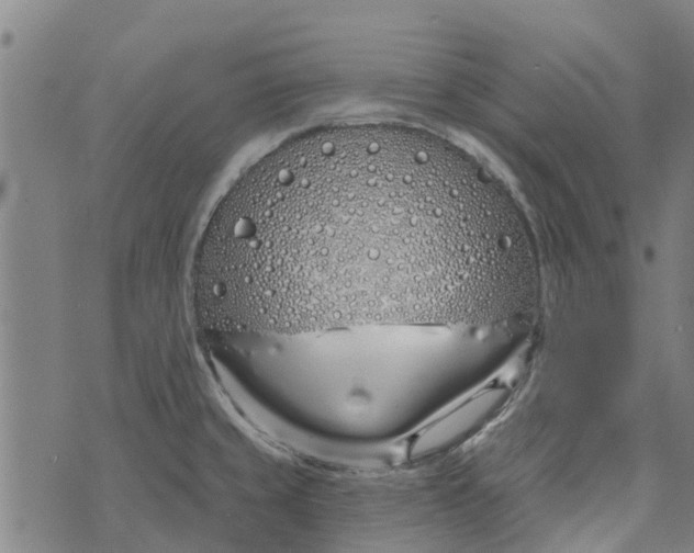 X0000073521429200608211753