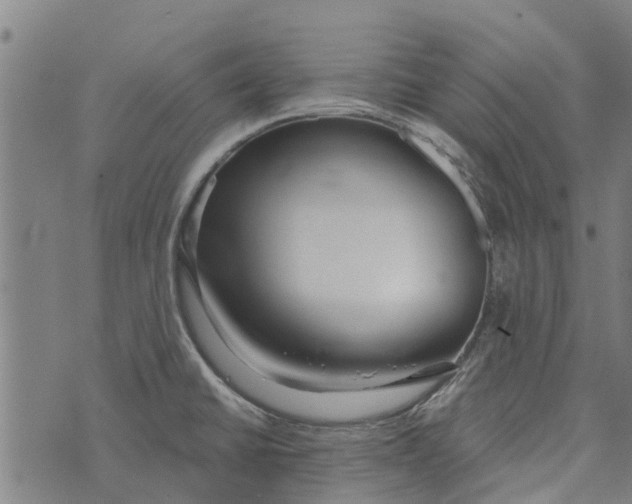 X0000073521430200608211753