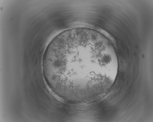 X0000073521431200608211753