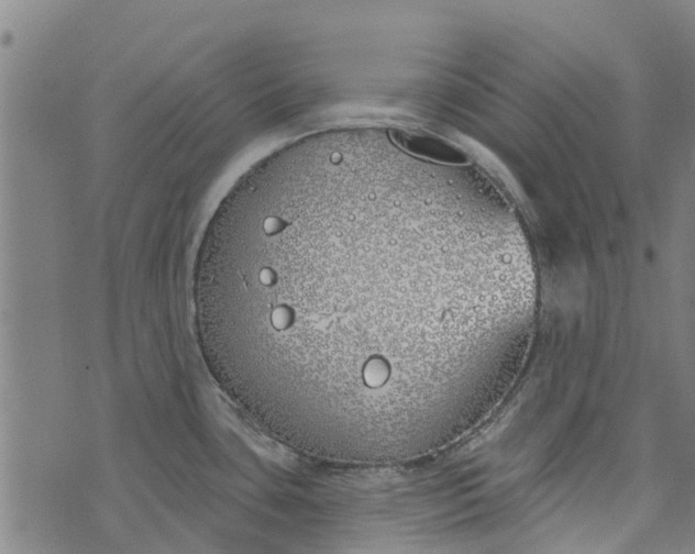 X0000073521435200608211753