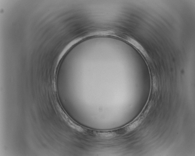 X0000073521436200608211753