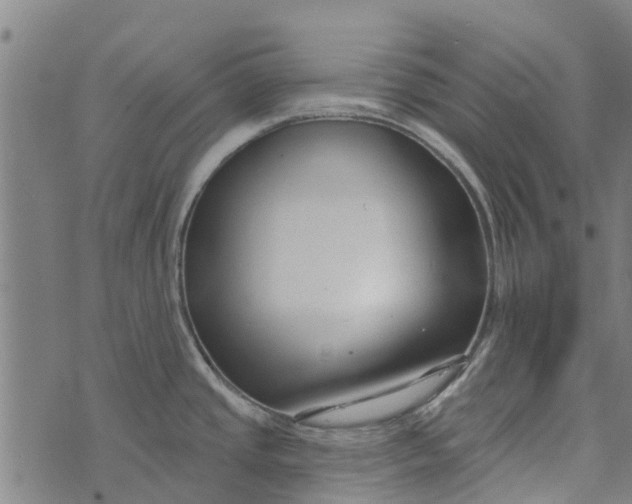 X0000073521437200608211753