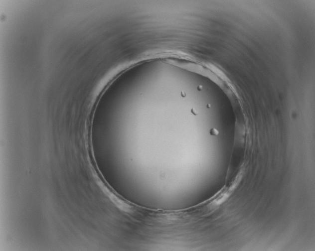 X0000073521438200608211753