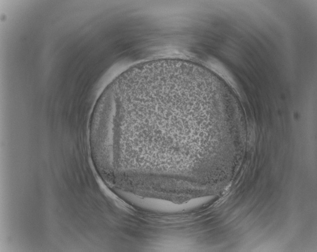 X0000073521439200608211753