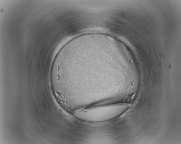 X0000073521440200608211753