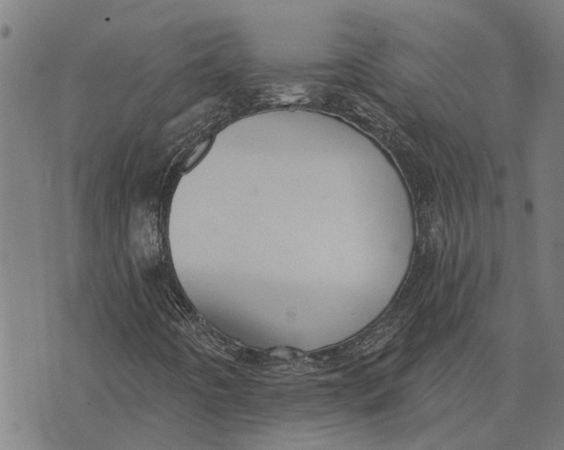 X0000073521442200608211753