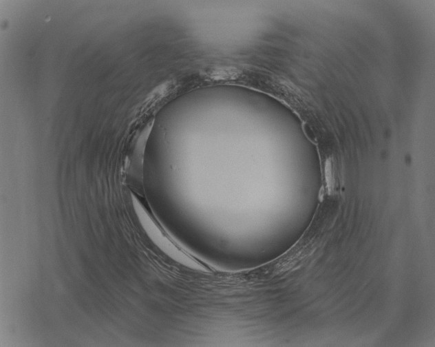 X0000073521443200608211753