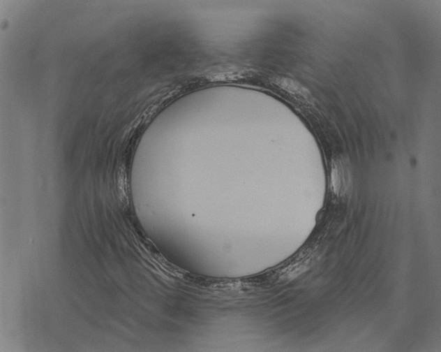 X0000073521444200608211753