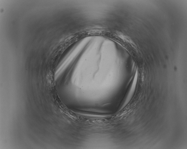 X0000073521445200608211753