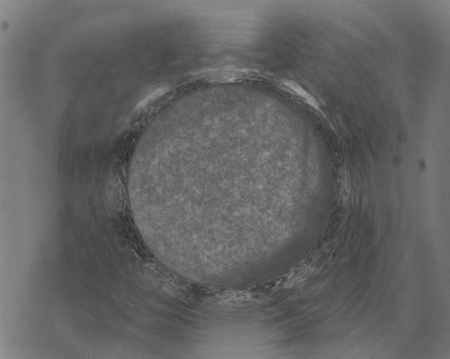 X0000073521446200608211753