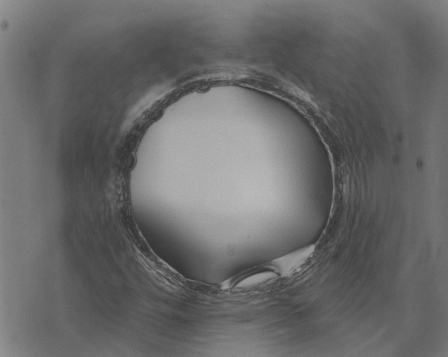 X0000073521448200608211753