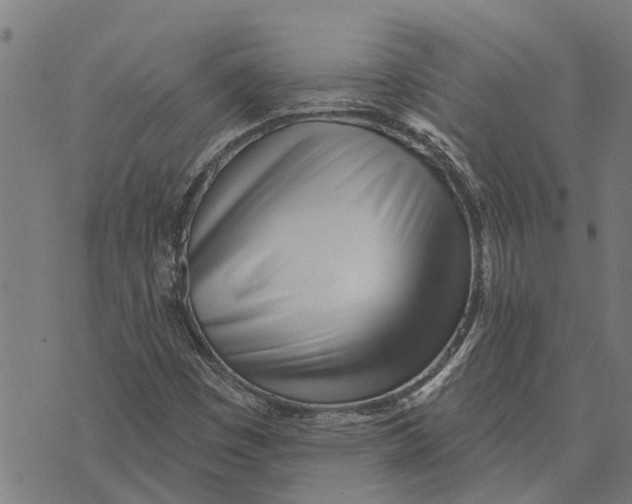 X0000073521449200608211753