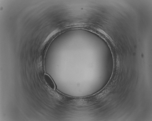 X0000073521450200608211753