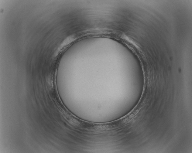 X0000073521451200608211753