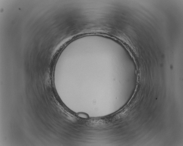 X0000073521452200608211753