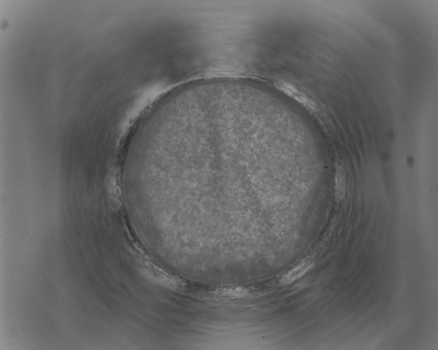 X0000073521454200608211753